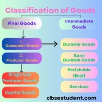 Classification of Goods in Economics Class 12 - Latest Notes