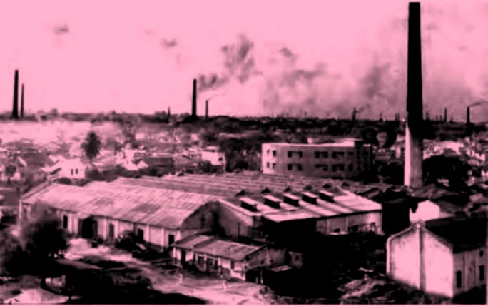 Environmental Degradation